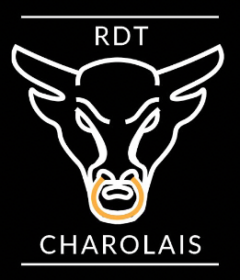 RDT Charolais
